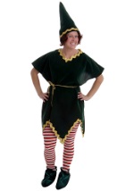 Professional Christmas Elf Costume