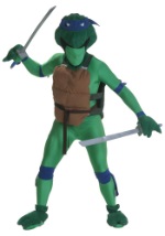 Blue Fighting Turtles Costume