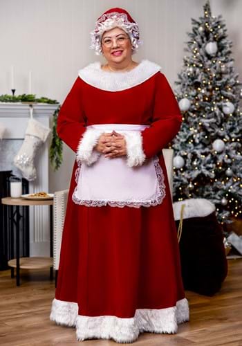 Mrs Claus Plus Size Costume